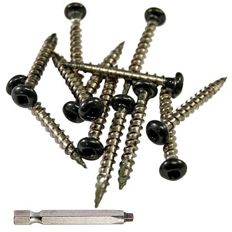 stainless steel screws home depot